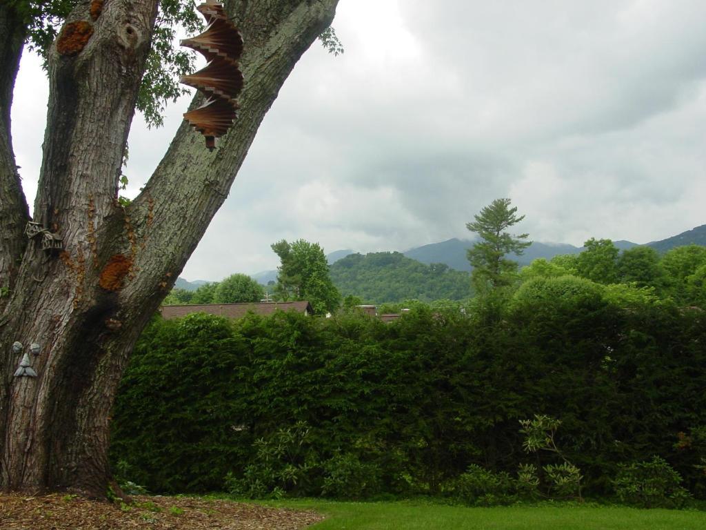 Brookside Mountain Mist Inn Waynesville Luaran gambar